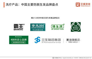 《艾媒報告深度解讀 脫發(fā)保健行業(yè)趨勢與消費行為演變（2019-2021）》